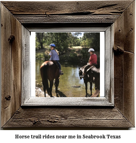 horse trail rides near me in Seabrook, Texas